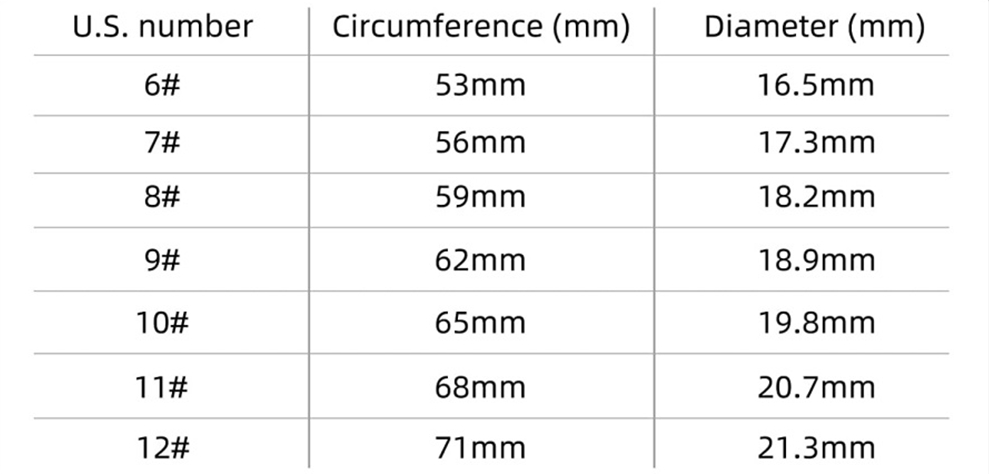 Smart NFC Key Ring - Model Y/3