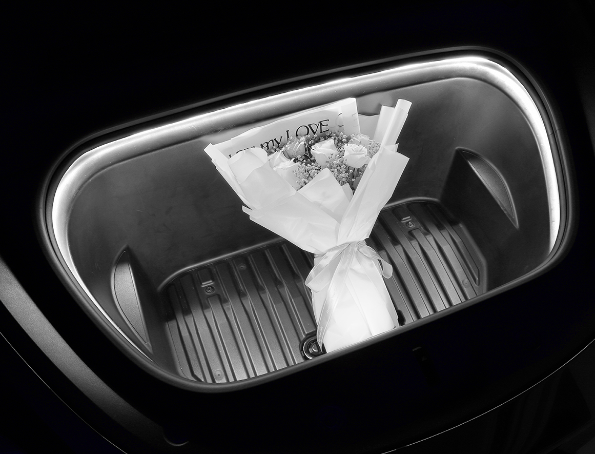 Frunk Light - Model Y/3