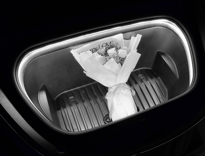 Frunk Light - Model Y/3